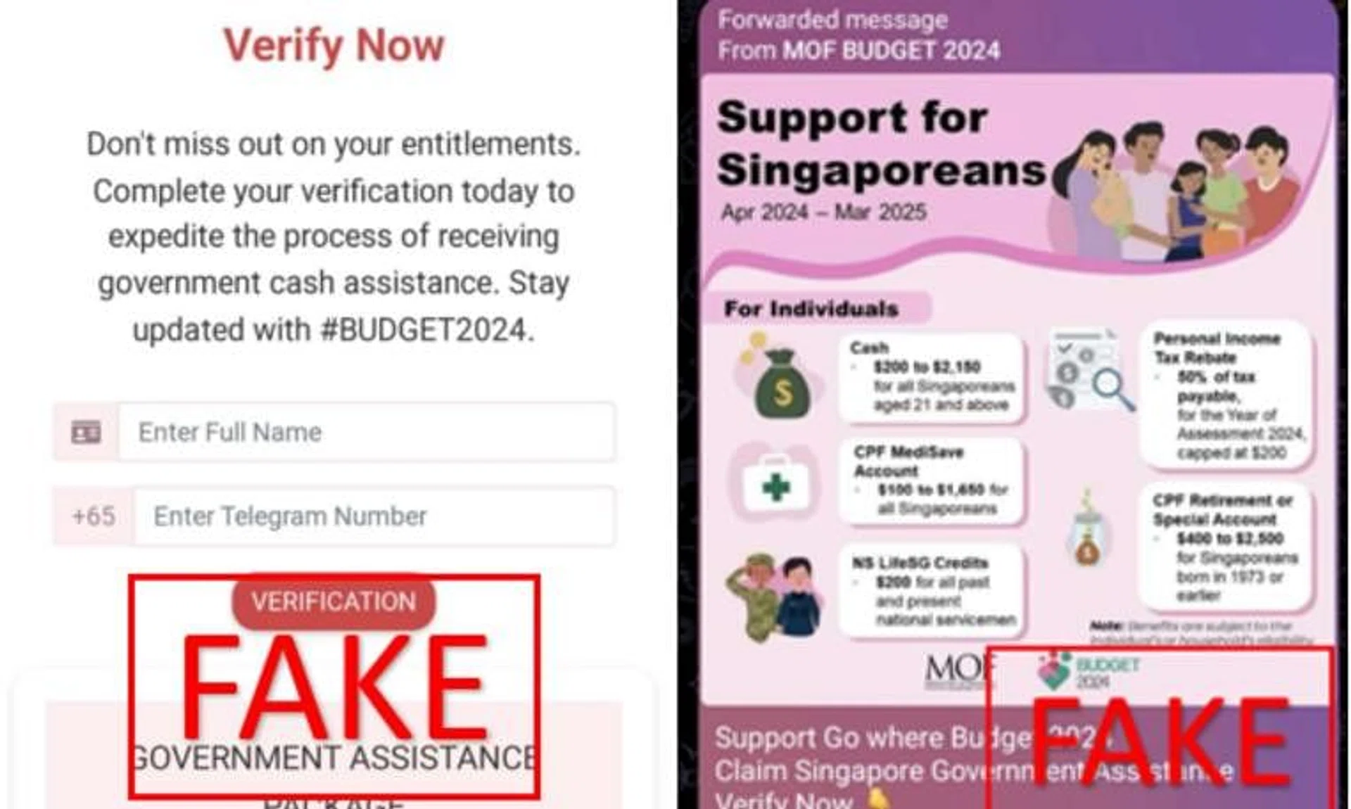 The website would request victims’ names and Telegram accounts’ contact numbers to verify the victims’ eligibility for Government assistance.
