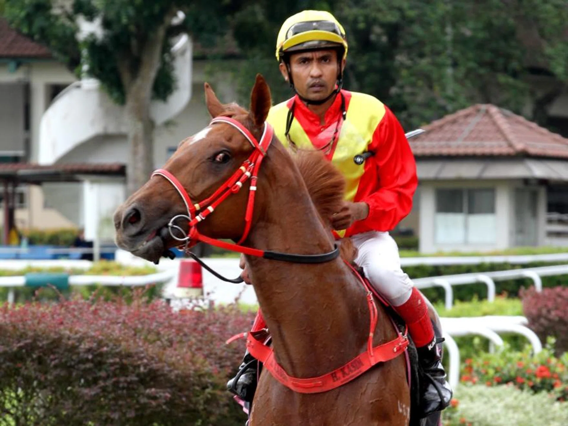 Tennet Tentennet (A'Isisuhairi Kasim) returning to scales at his maiden win on Dec 9, 2023. He looks poised for a fourth win on Aug 4.
