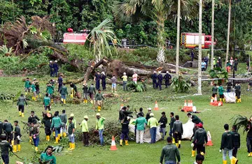 Botanic Gardens tragedy: She pulled her friend to safety