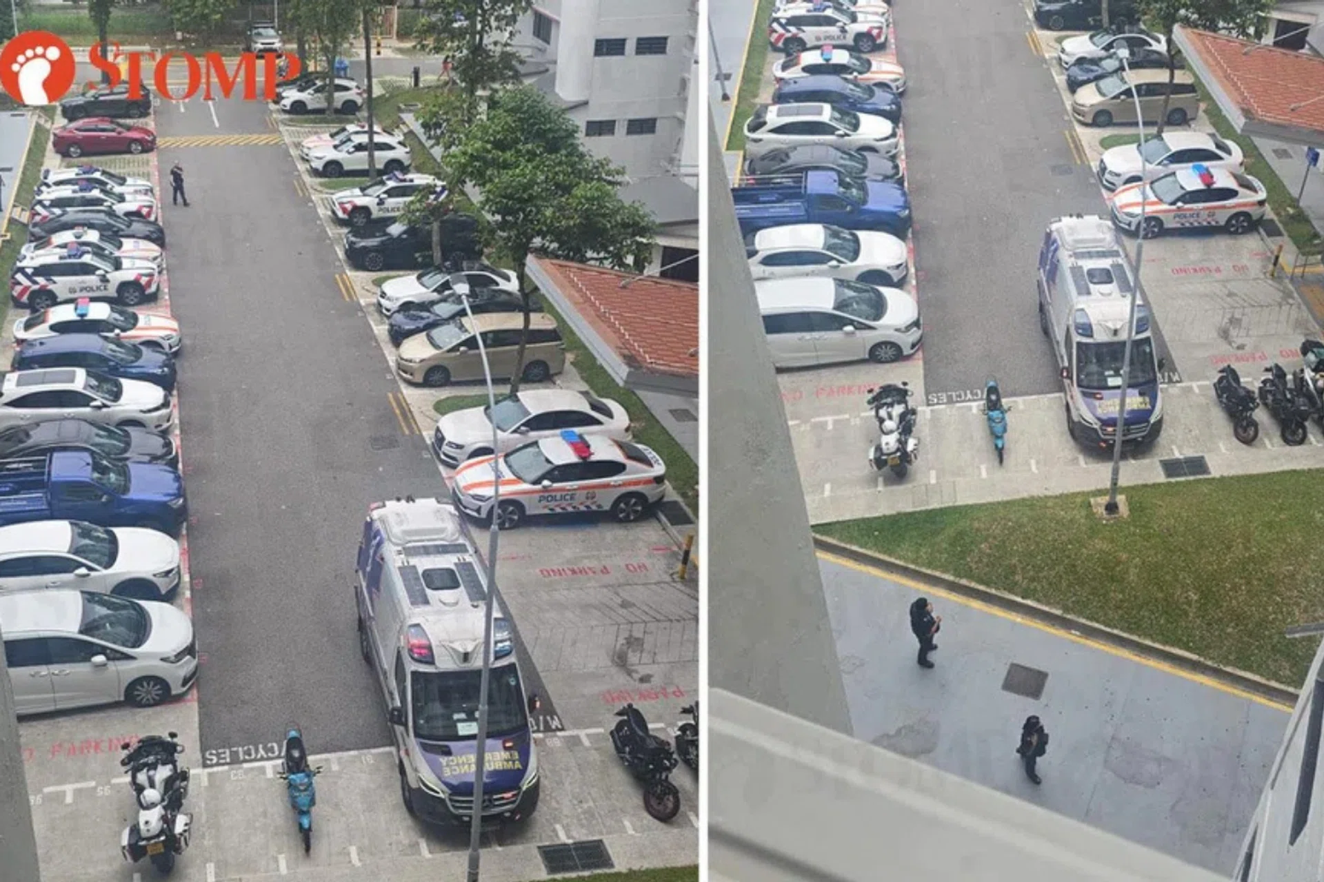 Police are hunting the man who fled a Traffic Police check and crashed into a pedestrian in the process. 