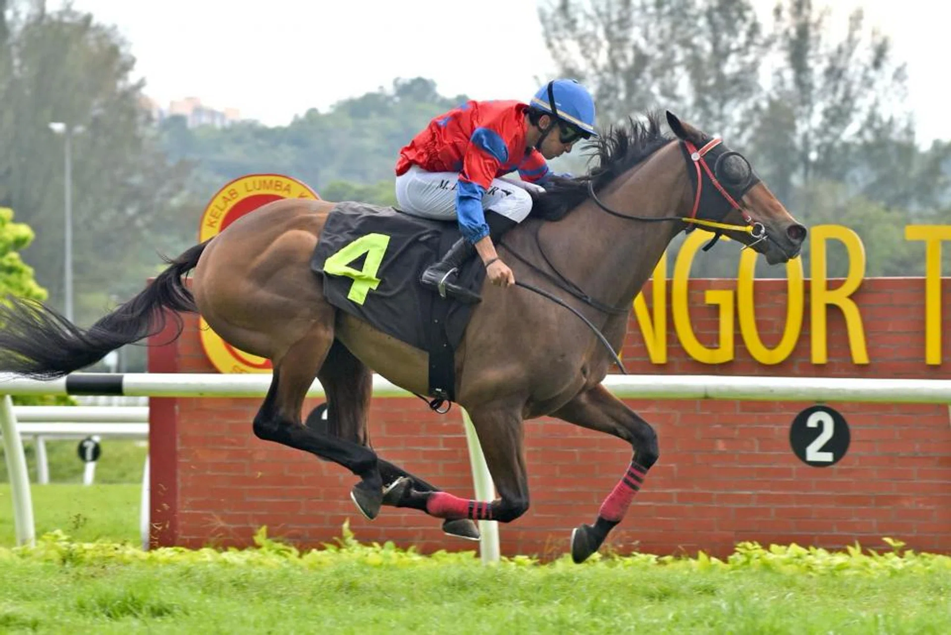 Trumpy handing Kranji-based French jockey Marc Lerner a debut win in KL in his first raid across the Causeway on Feb 18.