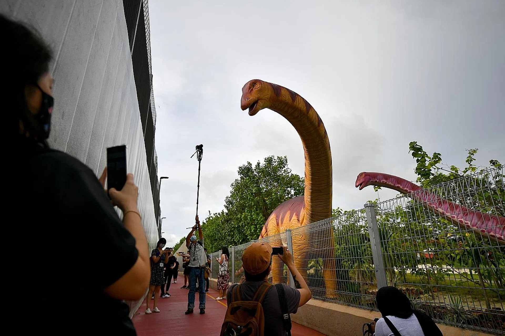 Visitors taking photographs of theApatosaurus along Changi Jurassic Mile. The airport is now connected to the larger Park Connector Network in the east, which links to places such as Changi Beach Park and Bedok Reservoir. 