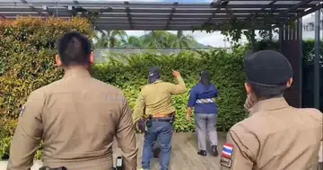 S'pore man survives after falling 5 storeys from Thai hotel