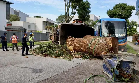 Lorry carrying a tree trunk tips over, hits private bus in Yishun