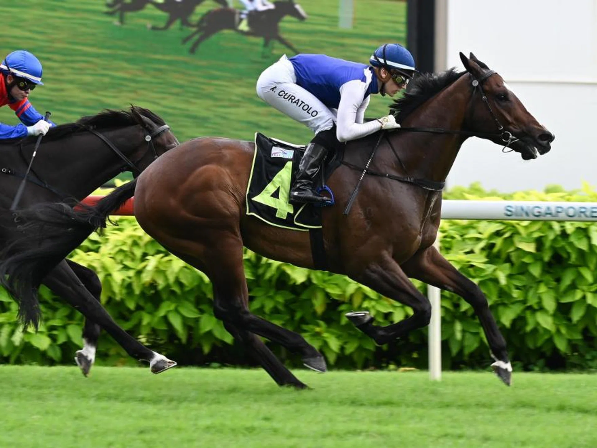 Makin (Ryan Curatolo) striding away to an easy win in Class 3 race over 1,600m at Kranji on March 9. His regular partner Manoel Nunes finishes second on Black Storm.
