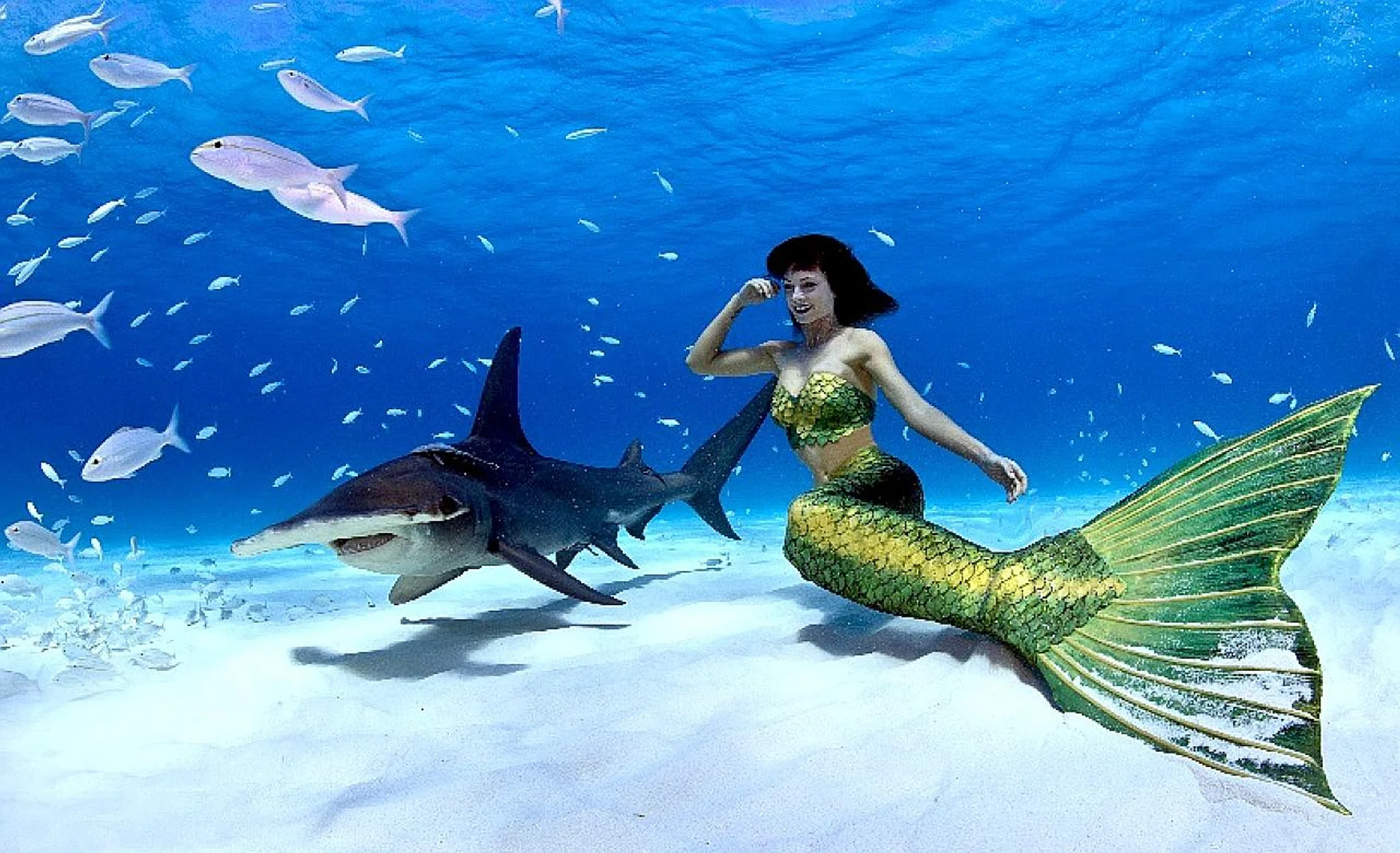 Ms Katrin Gray is a certified mermaid instructor. 