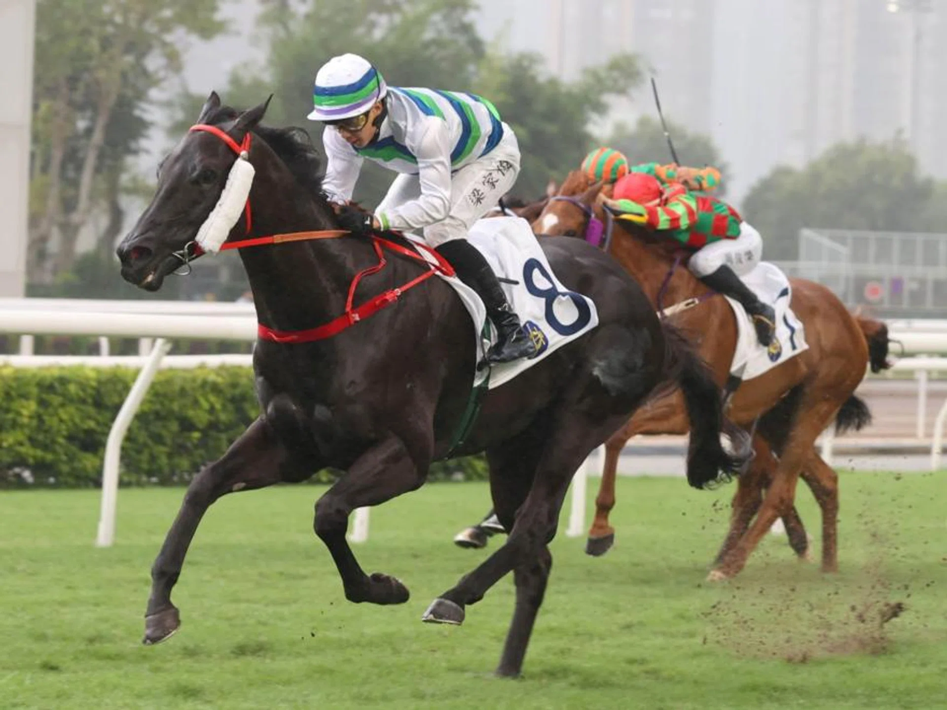 The Frankie Lor-trained Voyage Samurai claiming the Class 3 Members Cup (1,600m) with Derek Leung doing the steering at Sha Tin on May 19.
