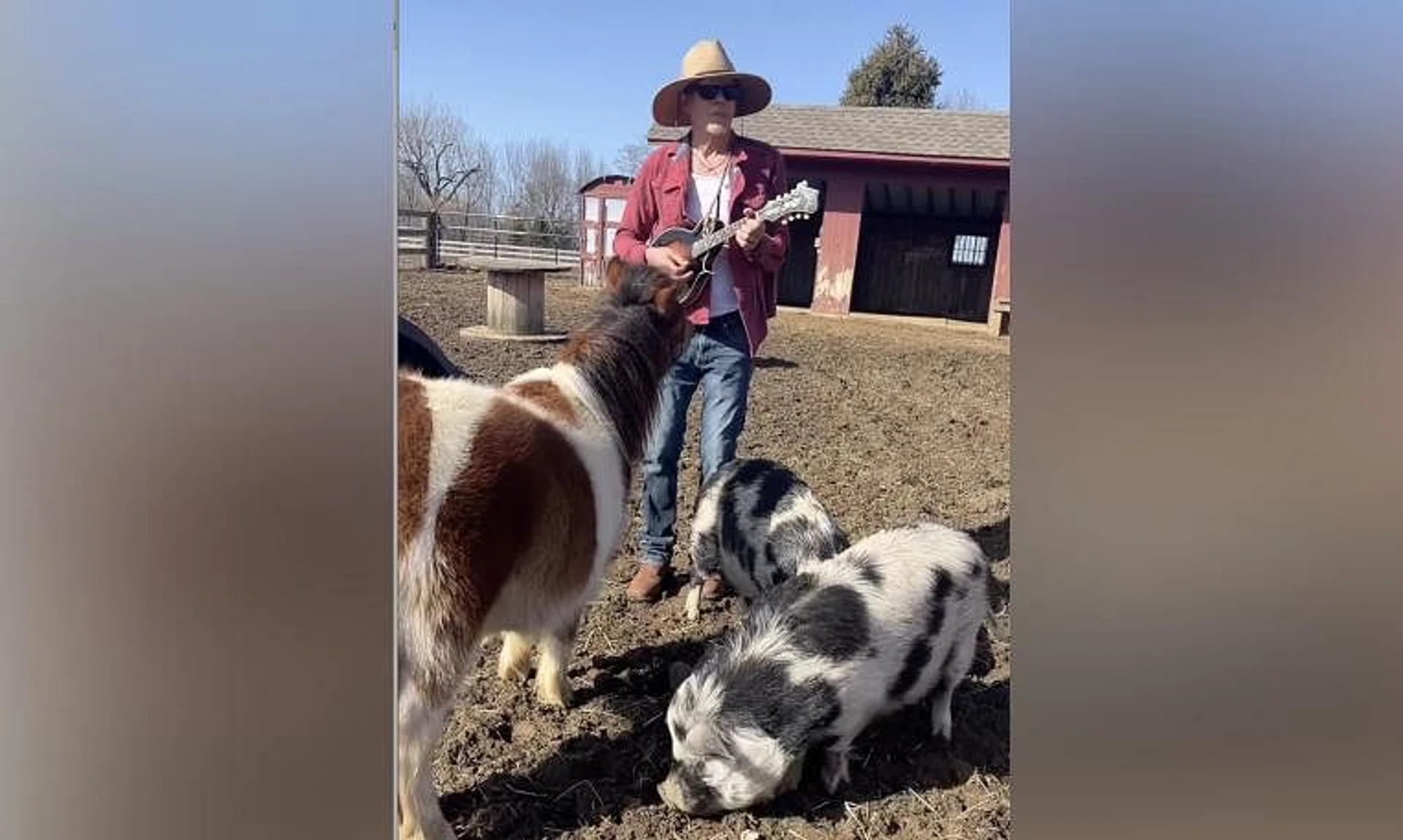 American actor Kevin Bacon (above) and his wife Kyra Sedgwick shared a video where they serenaded their farm animals with Beyonce's Texas Hold 'Em.