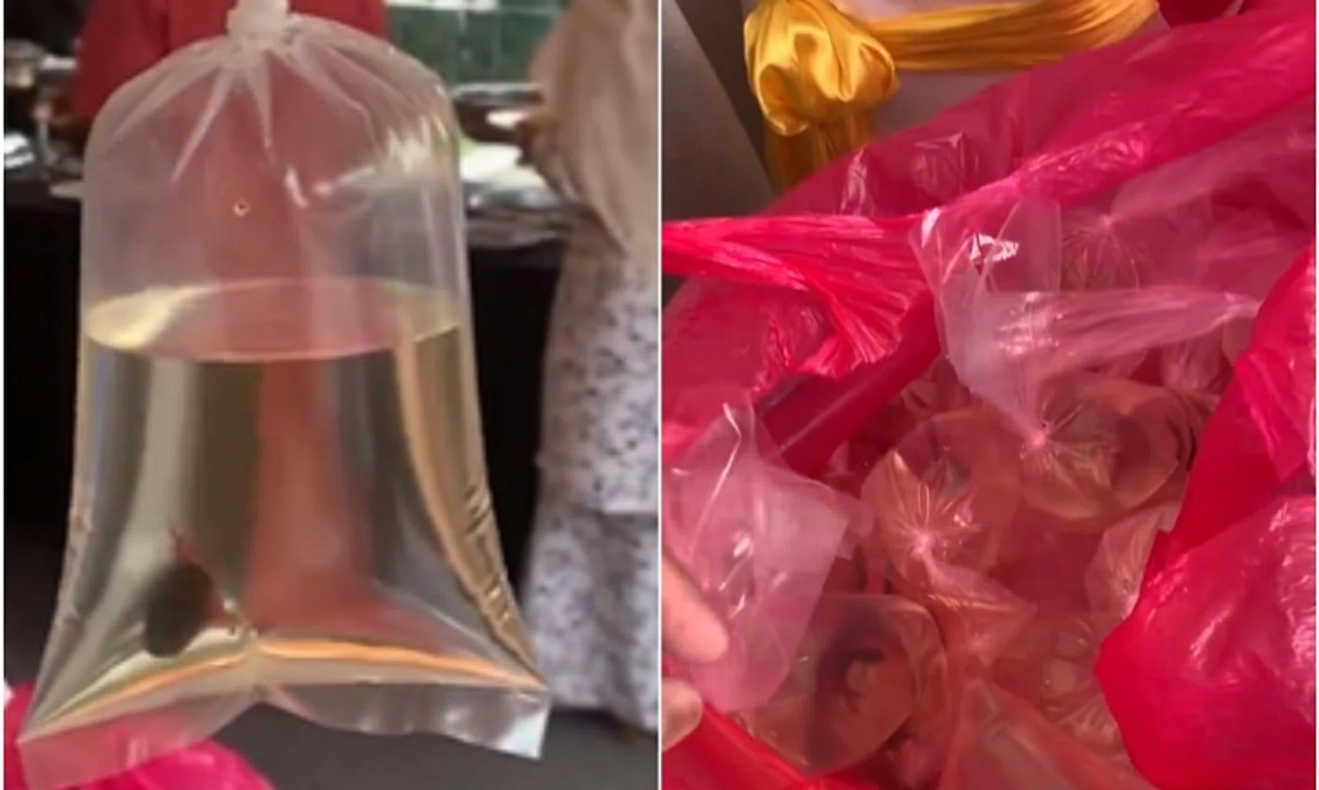 The video displays smaller bags within the larger ones, each containing water, air, and a betta fish.
