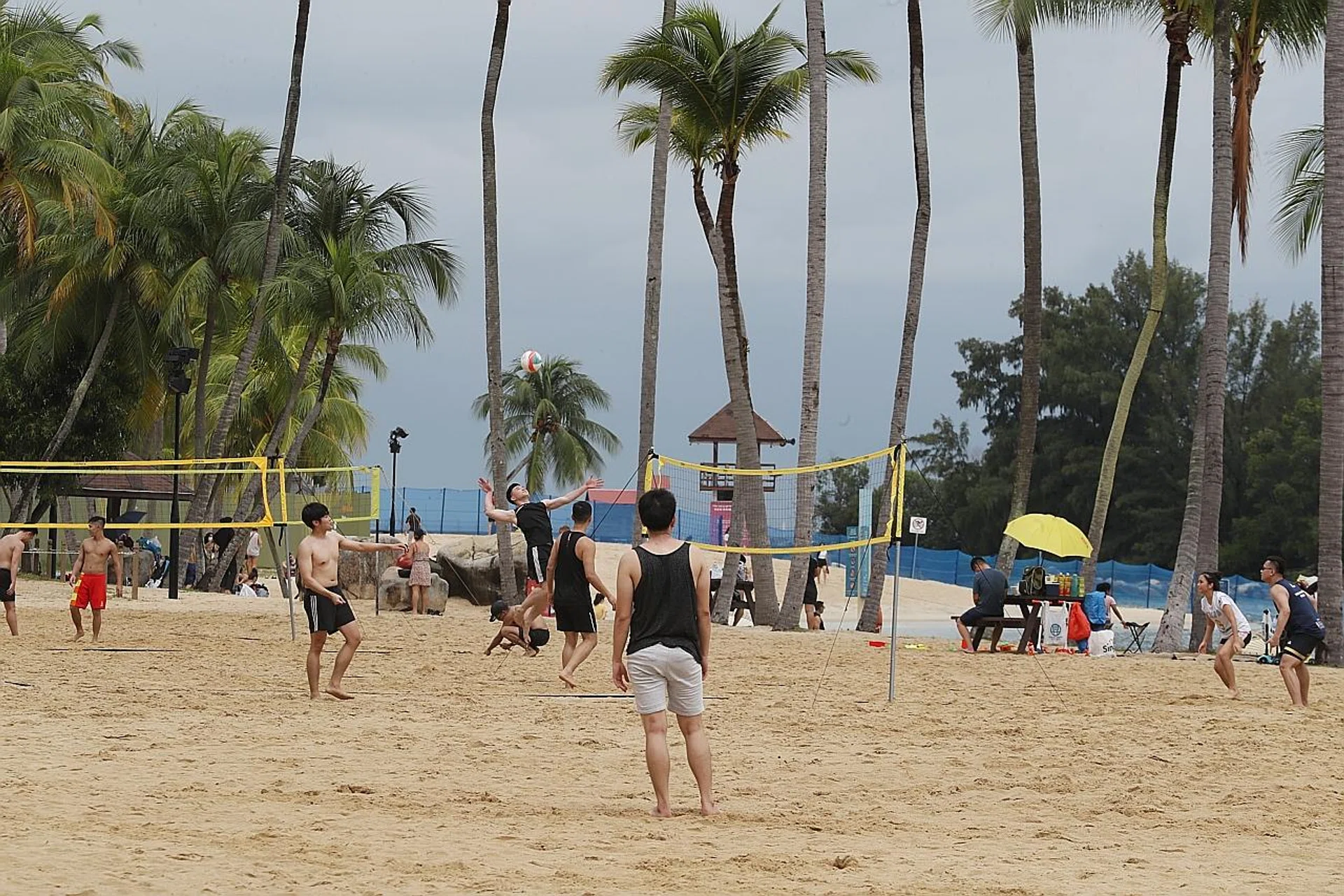 A Singaporean woman who wanted to be known only as Ms Elisse said she, her husband and daughter went to the hospital for incision and drainage surgery to remove pus out of wounds that had become infected after a trip to a beach on Sentosa (above) last month. 