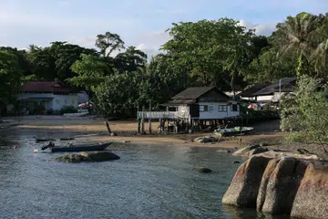 GE2025, island edition: Pulau Ubin's elderly voters and their election stories