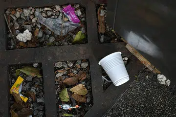 Littering fines hit seven-year high last year