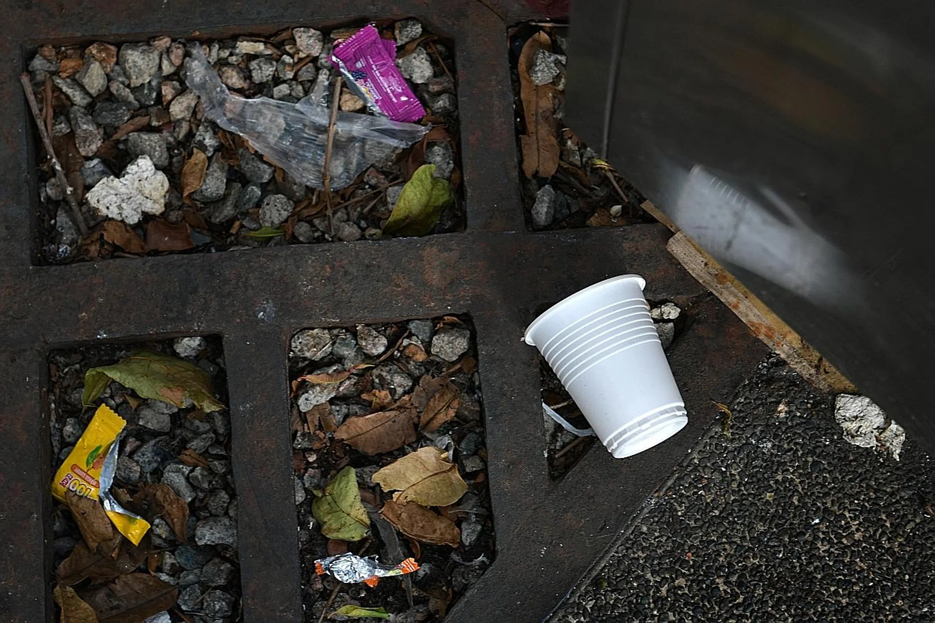 Last year, more than 31,000 fines and 1,700 corrective work orders were issued to litterbugs. 