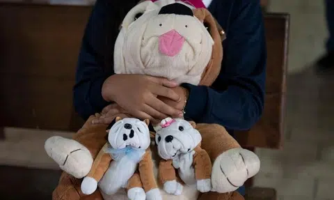 Venezuela's stuffed toy 'hospital' brings joy to children