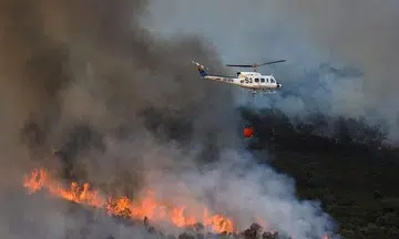 Health warnings issued as heatwave scorches Europe