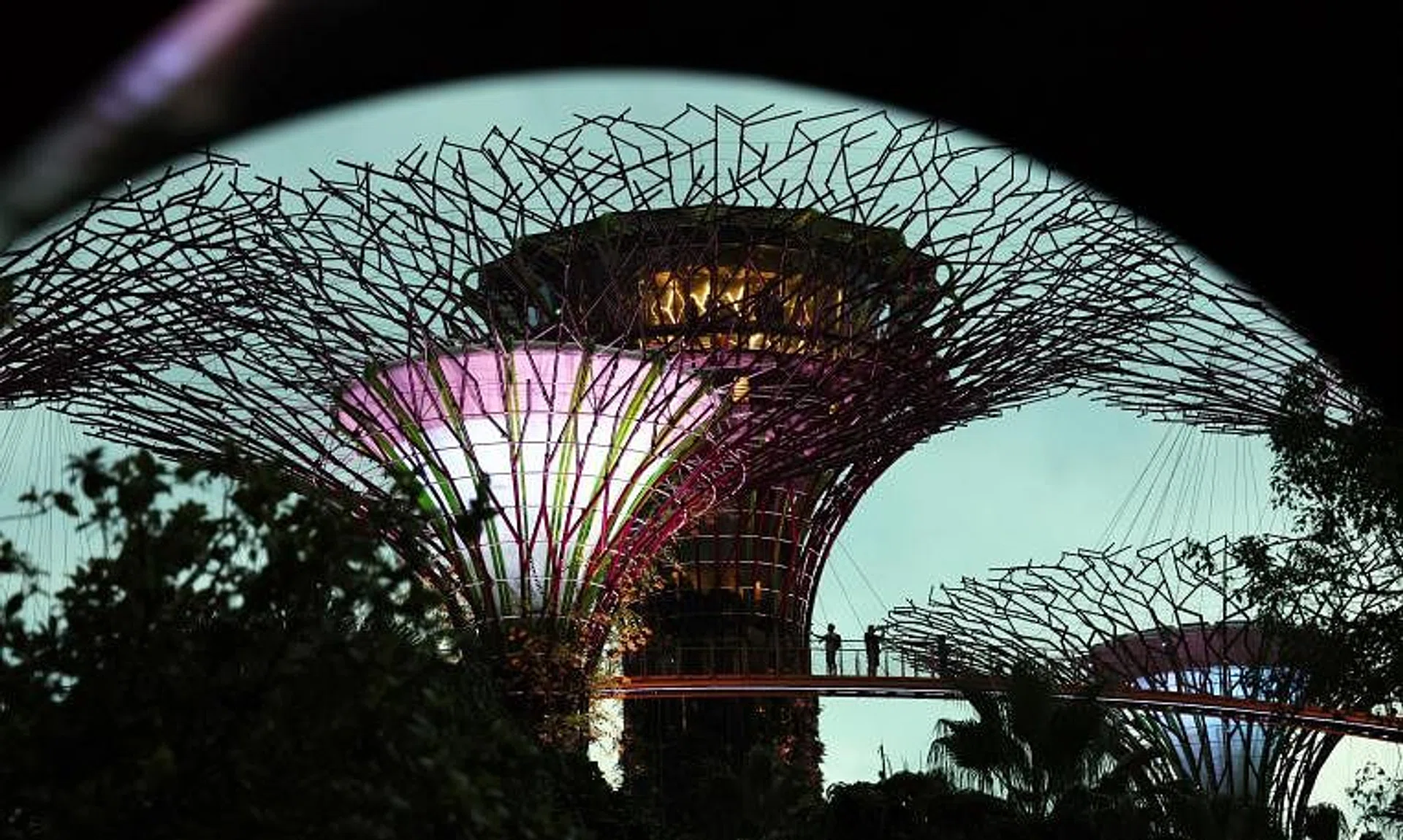 Singapore's Gardens by the Bay is the world's No. 8 attraction based on reviews and ratings on travel site Tripadvisor.