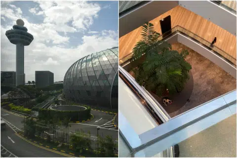Woman, 56, dies after falling from height at Jewel Changi Airport