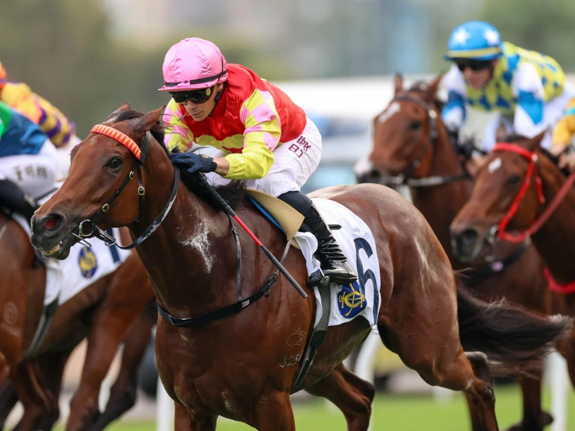 My Wish (Alexis Badel) motoring home to score in the Group 2 Sha Tin Trophy (1,600m) at Sha Tin on Oct 19.