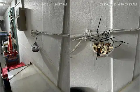 Man accuses neighbour of hanging rotten food to harass him