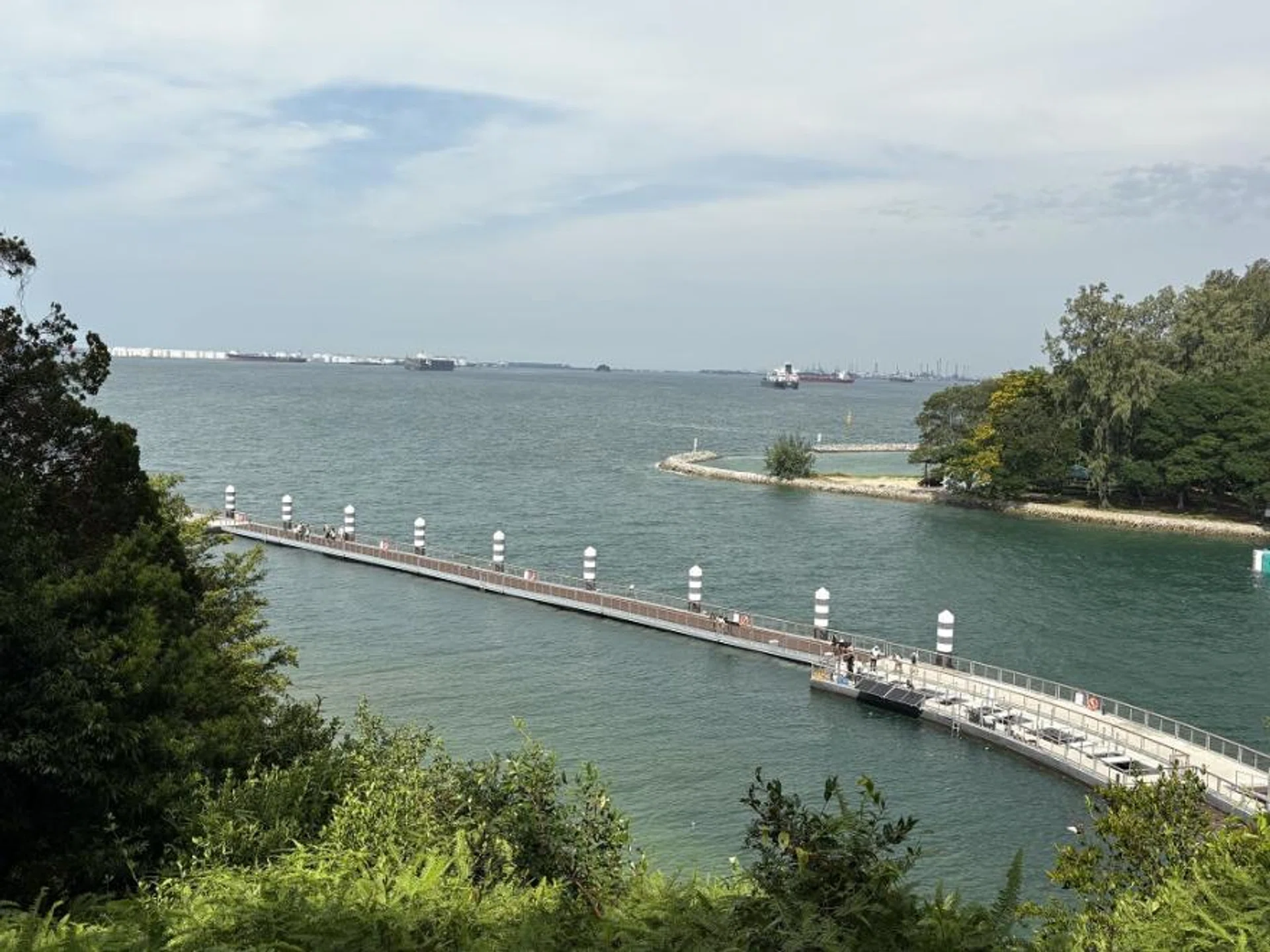 The Floating boardwalk observed from the Hilltop View Deck.