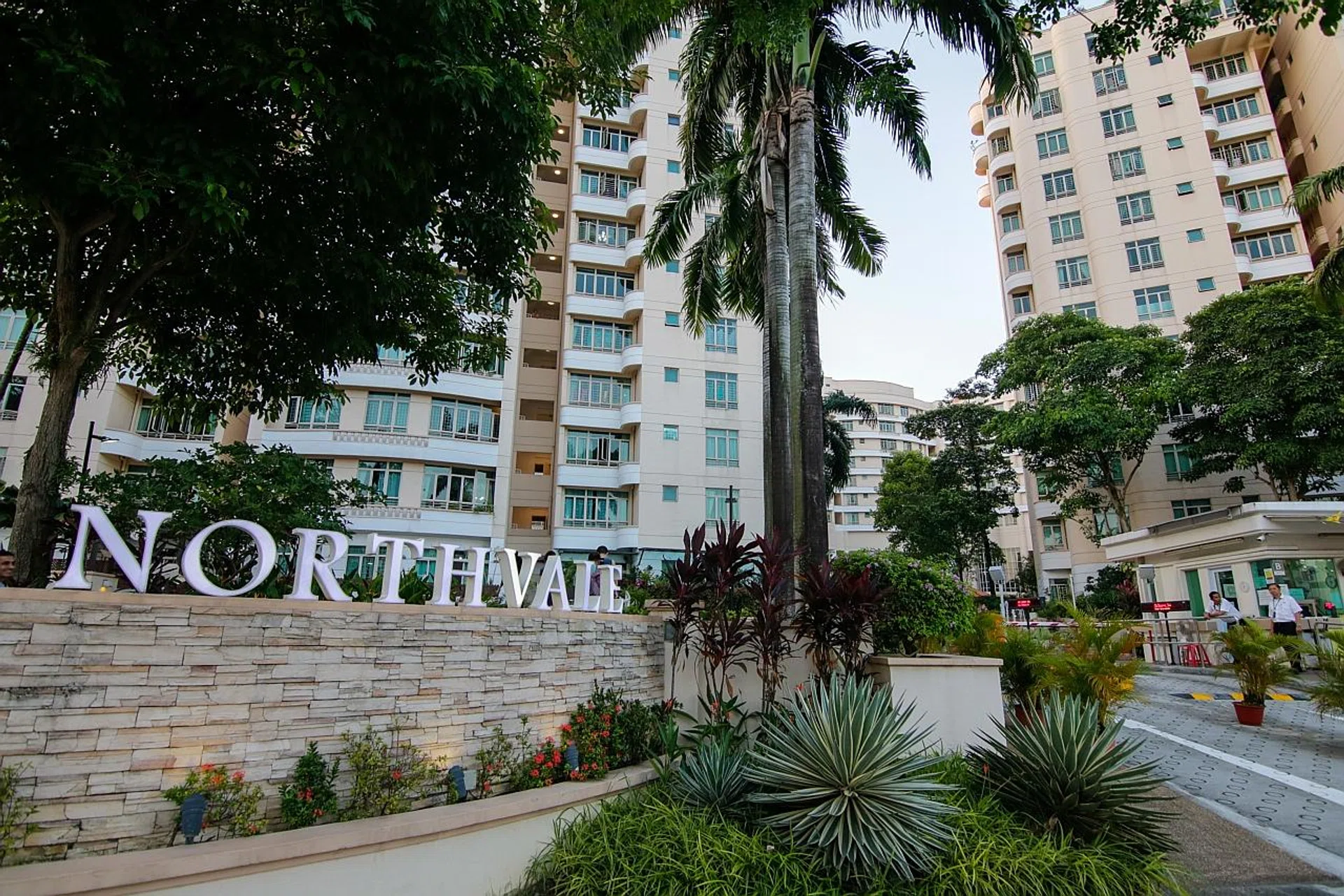 Some 67 cases of dengue have occurred at Northvale condominium in Choa Chu Kang.