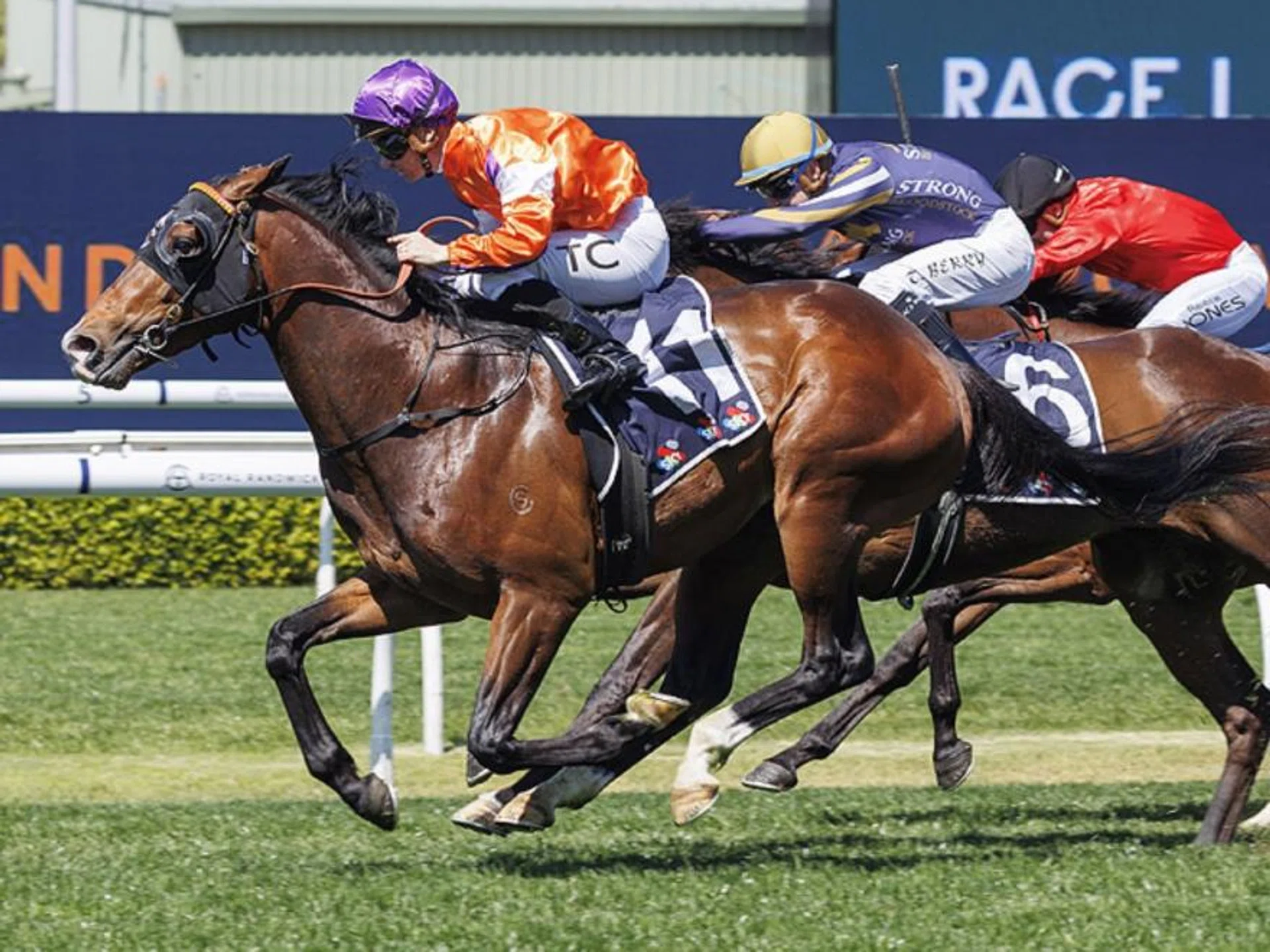 The Anthony Cummings-trained El Castello will head into the Group 1 Spring Champion Stakes (2,000m) at Randwick on Oct 26, off the back of three wins in a row.
