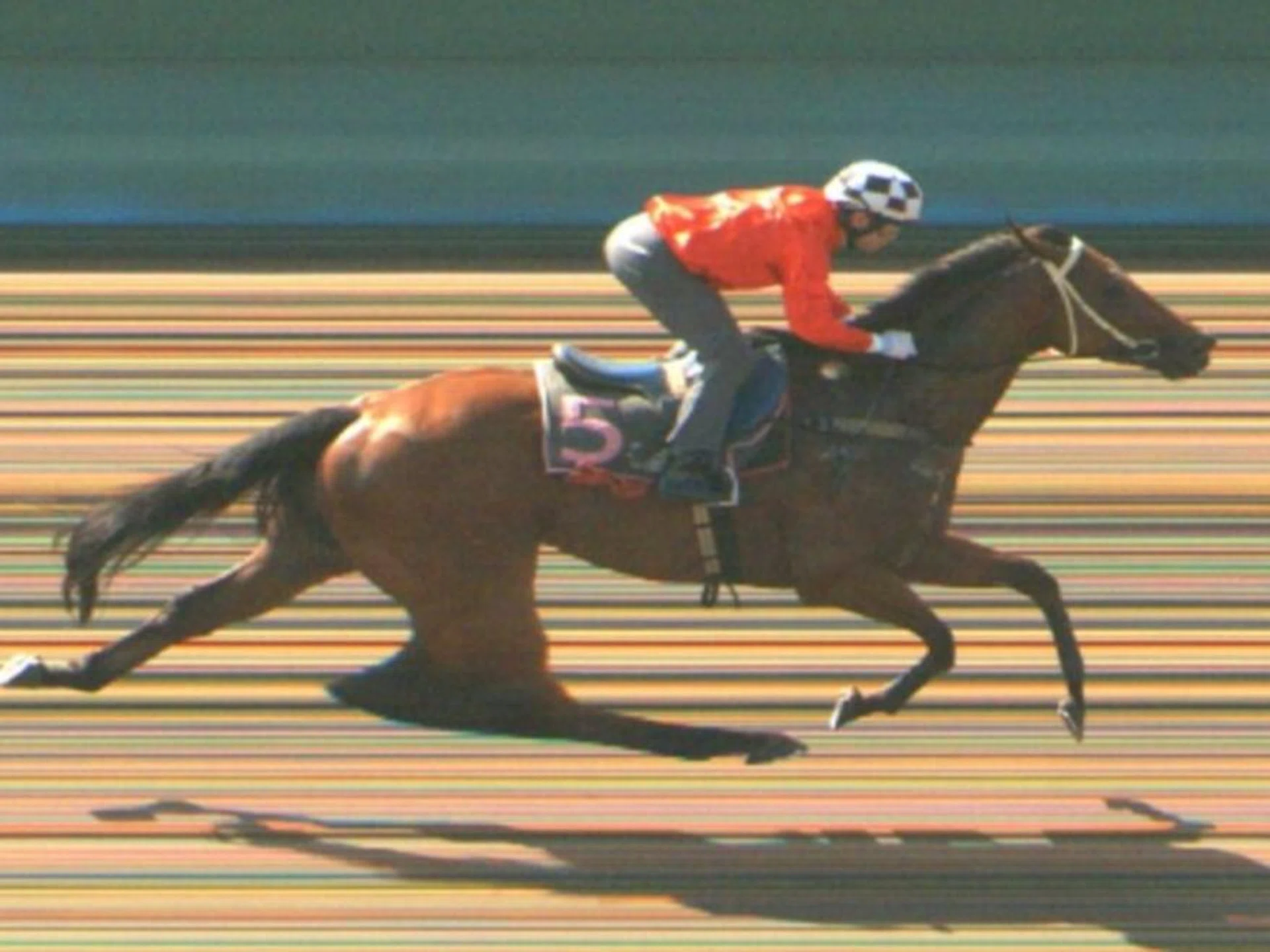 Super Salute (Manoel Nunes) looking right back on song at the barrier trials on April 9. Richard Lim's stable star won by four lengths.
