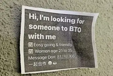 Man can't get girlfriend, so he looks for BTO partner