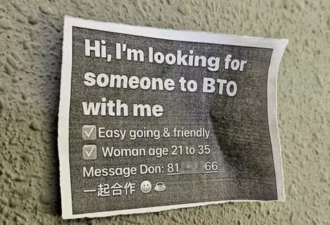 Man can't get girlfriend, so he looks for BTO partner
