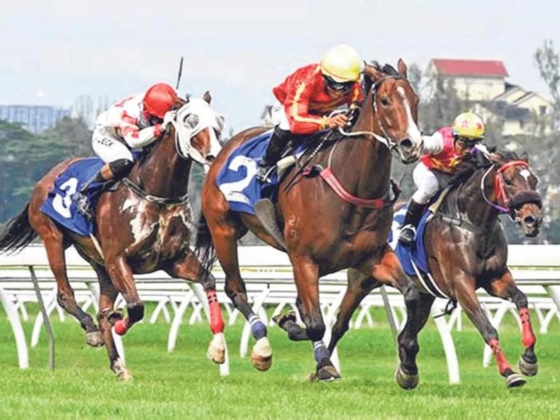 Revue (No. 2, Nuqman Rozi) making it two wins from as many starts for trainer Ricky Choi.
