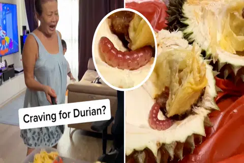 Eww! Family stunned by plump, pink caterpillar inside Mao Shan Wang durian