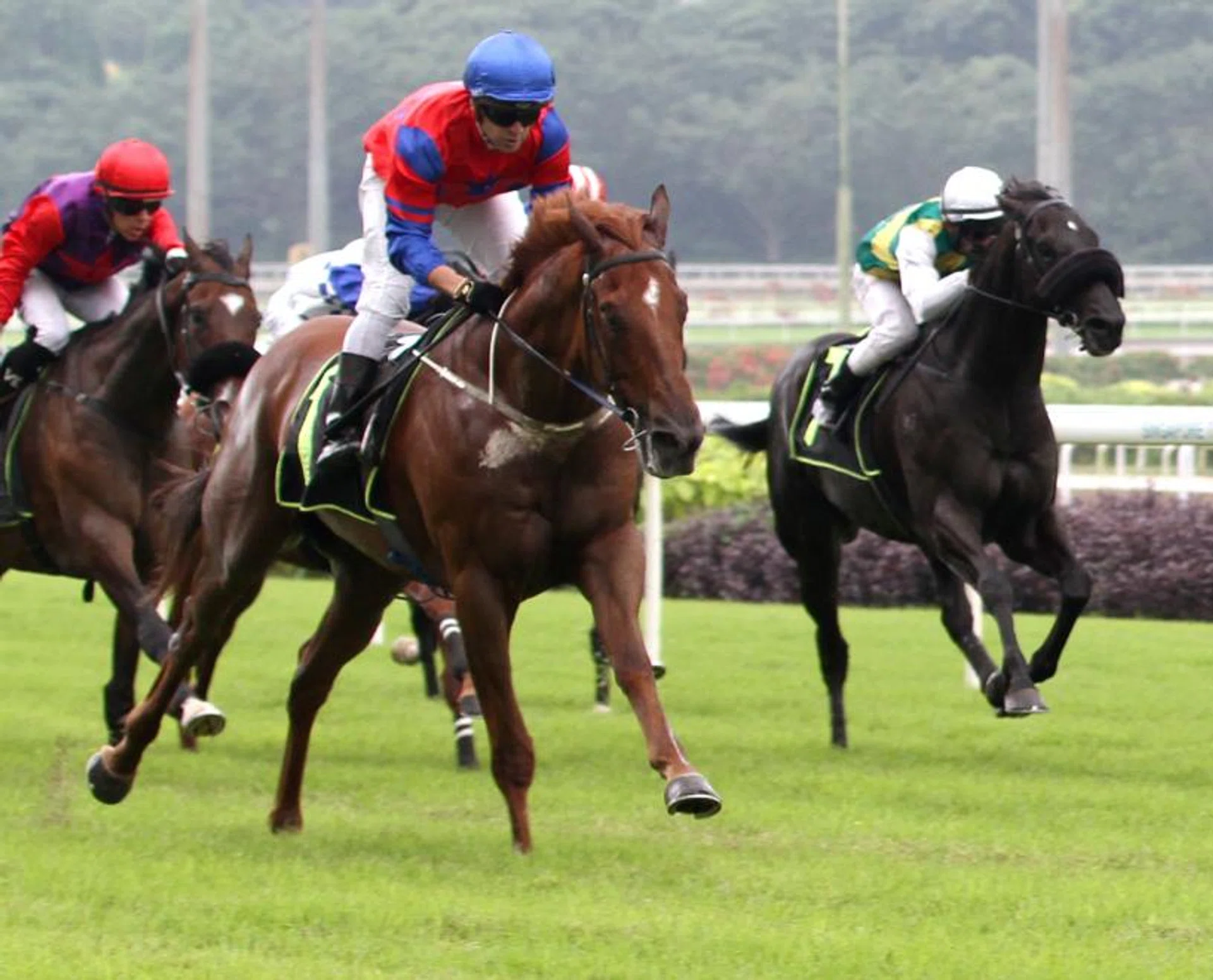 Lightning Strike (Vlad Duric) easily winning the Class 4 Division 1 race (1,800m) on Dec 30.