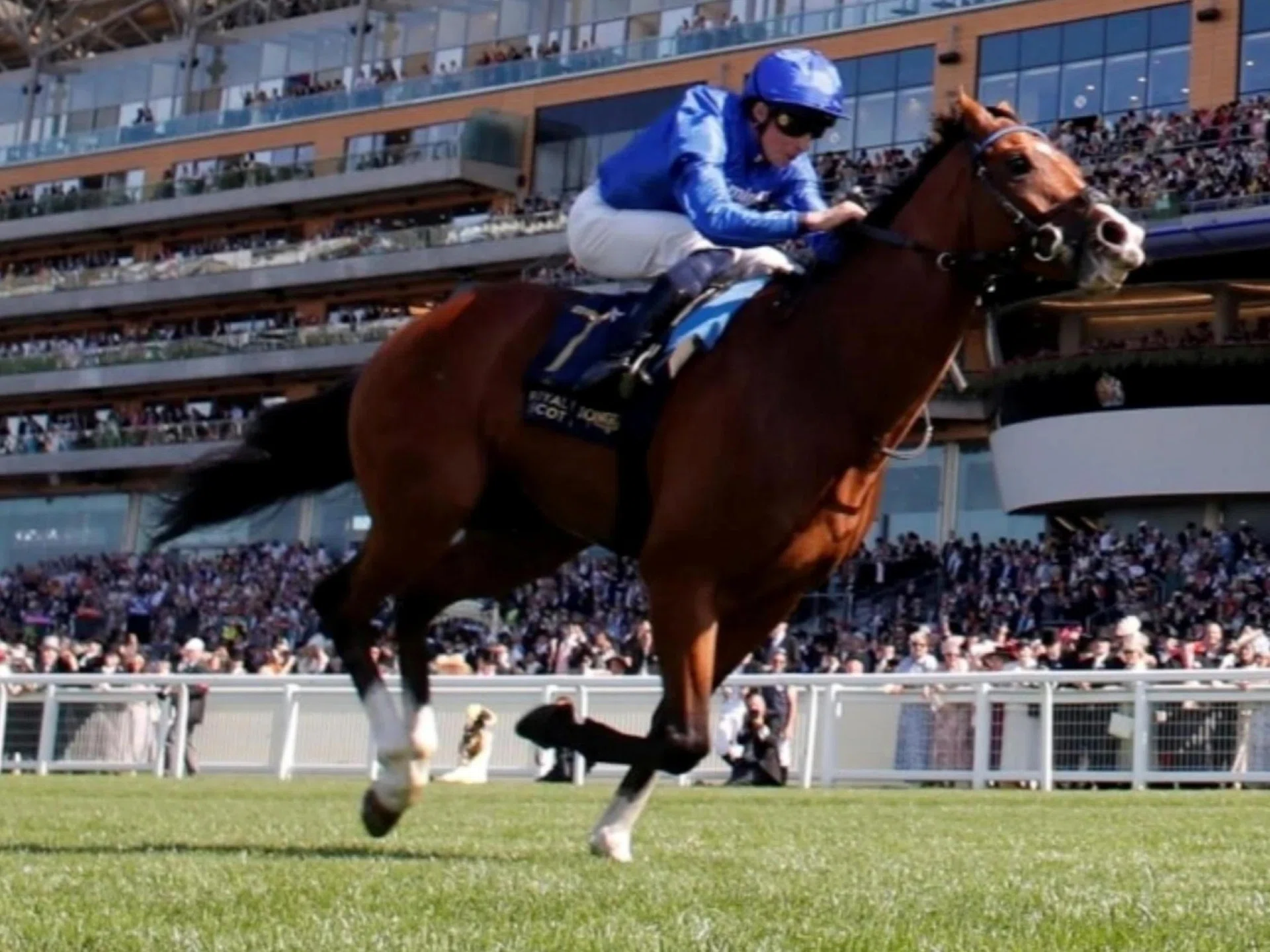 The John and Thady Gosden-trained Ombudsman (William Buick) scoring an easy win in the Group 1 Prince of Wales’ Stakes (2,000m) at Royal Ascot on June 18.