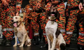 Rescue dogs from Singapore, Malaysia and Thailand helping to sniff out survivors after Turkey quake