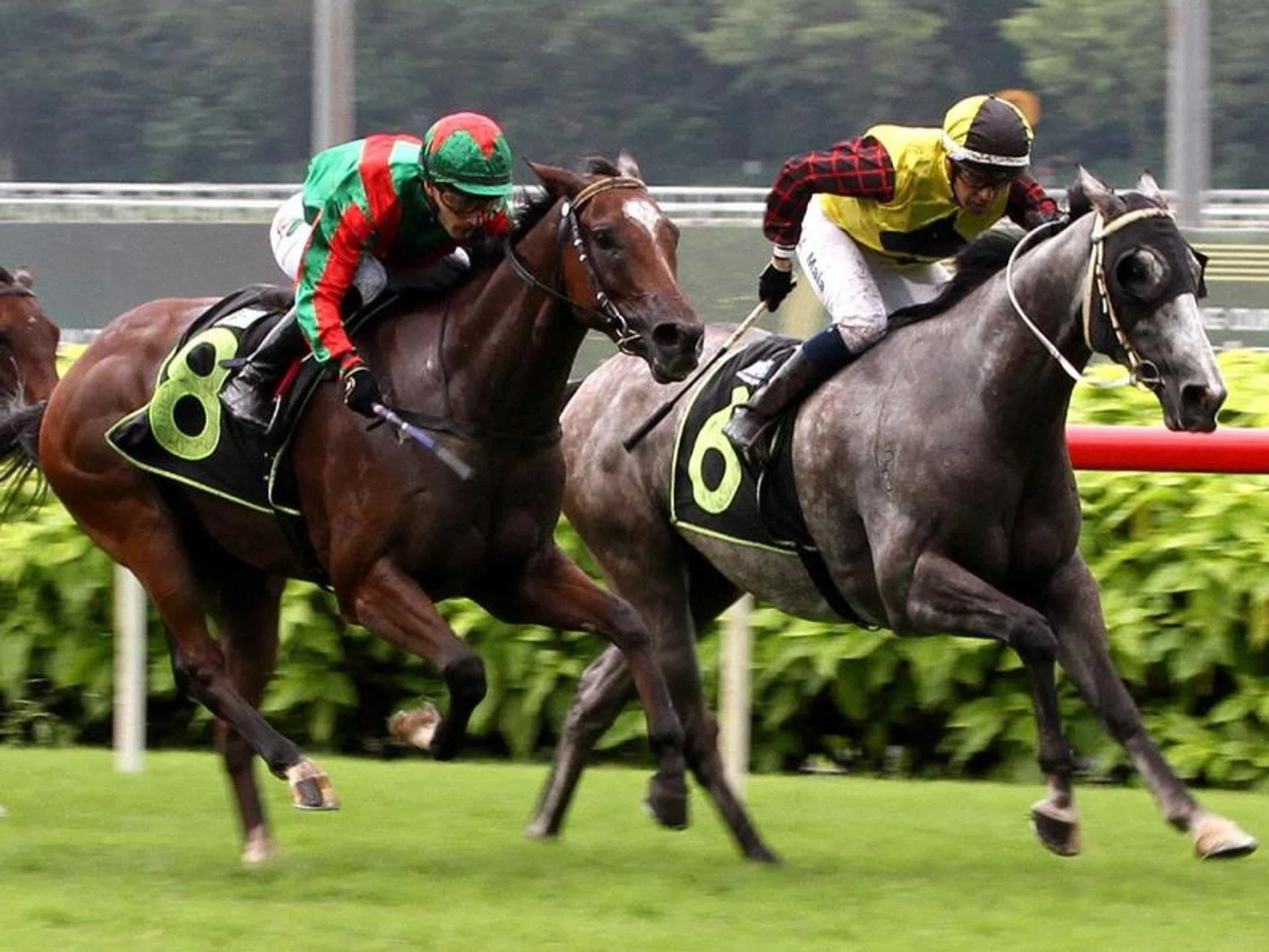Flying Nemo (Carlos Henrique, No. 8) getting home in time to nose out Energy Baby (Ruan Maia) in a Class 3 1,400m event on a yielding track at Kranji on May 18. The Desmond Koh-trained galloper is in fine trim and looms as a lively chance in the Group 3 Silver Bowl (1,400m) on June 9.
