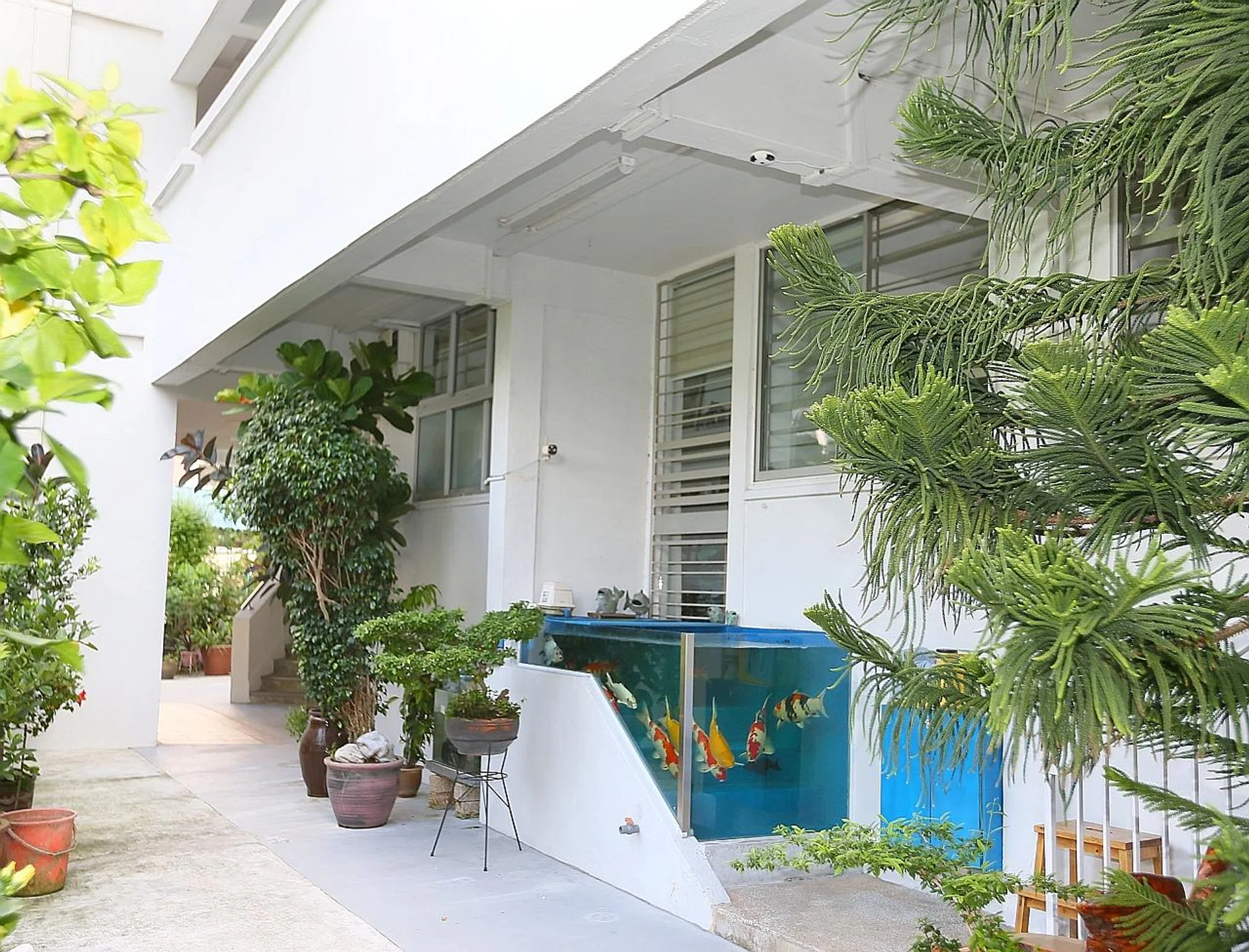 The blue tank, with its glass walls sealed to the concrete of the steps and wall, is located at Block 415 in Tampines Street 41. TNP PHOTO: JONATHAN CHOO