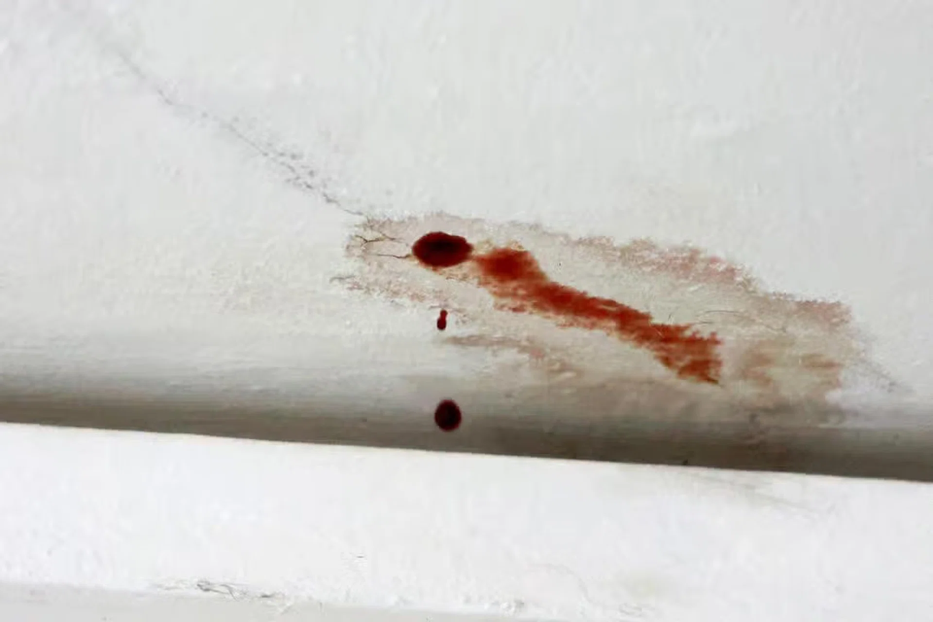 A downstairs neighbour discovered blood dripping from the ceiling of the master bedroom at around 1pm.