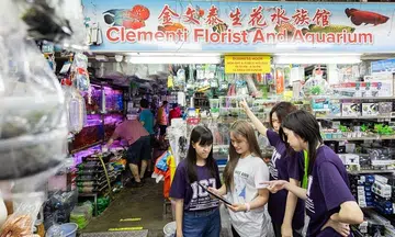 Three-day festival turns Clementi into "heritage village"