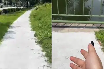 'Is it telling me to jump in?': Cyclist shocked by path that leads to drain