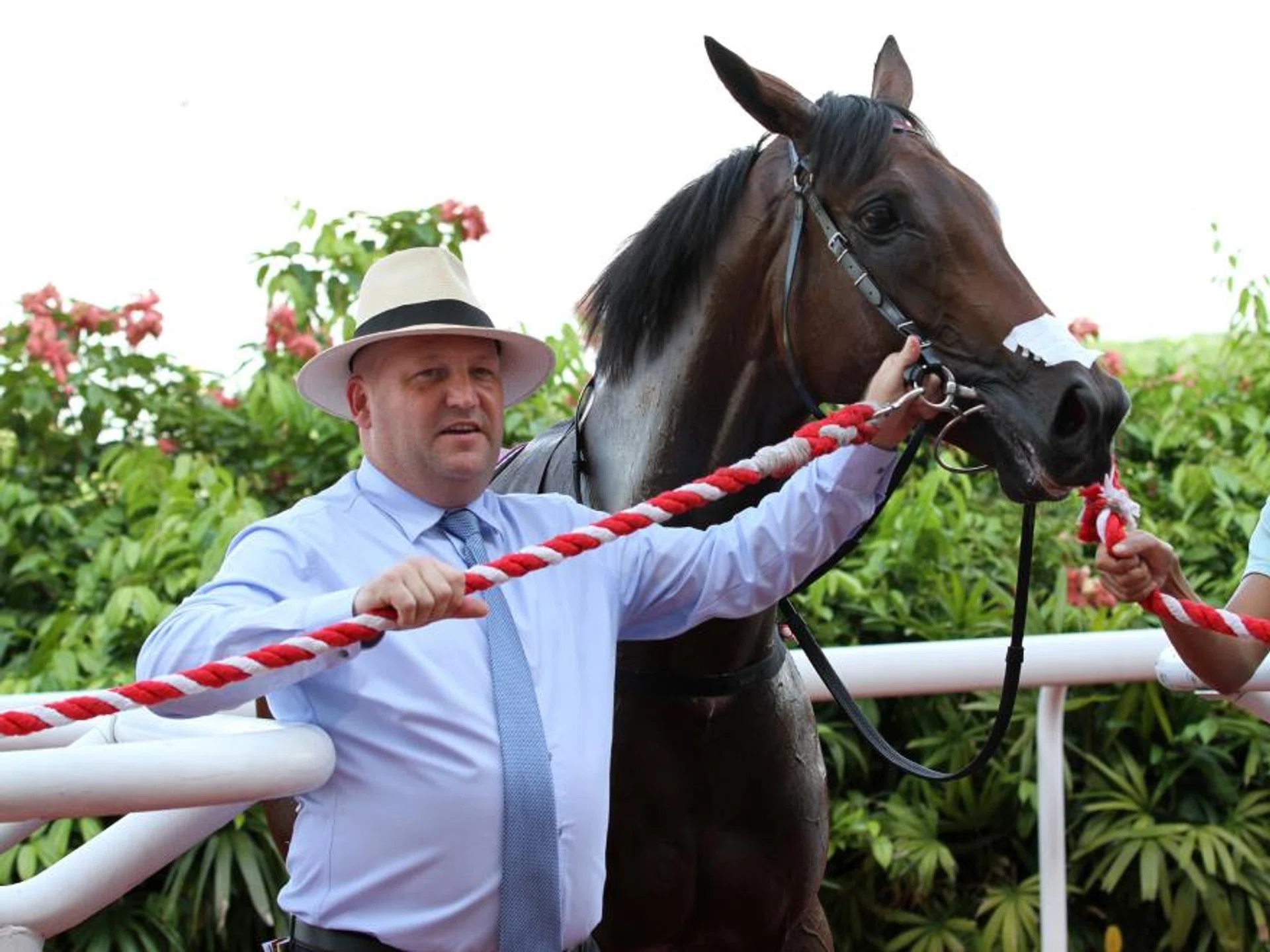 Trainer Daniel Meagher managing to lead in the camera-shy Lim's Saltoro after his commanding win in the $110,000 Group 3 Silver Bowl (1,400m) on June 9. 


