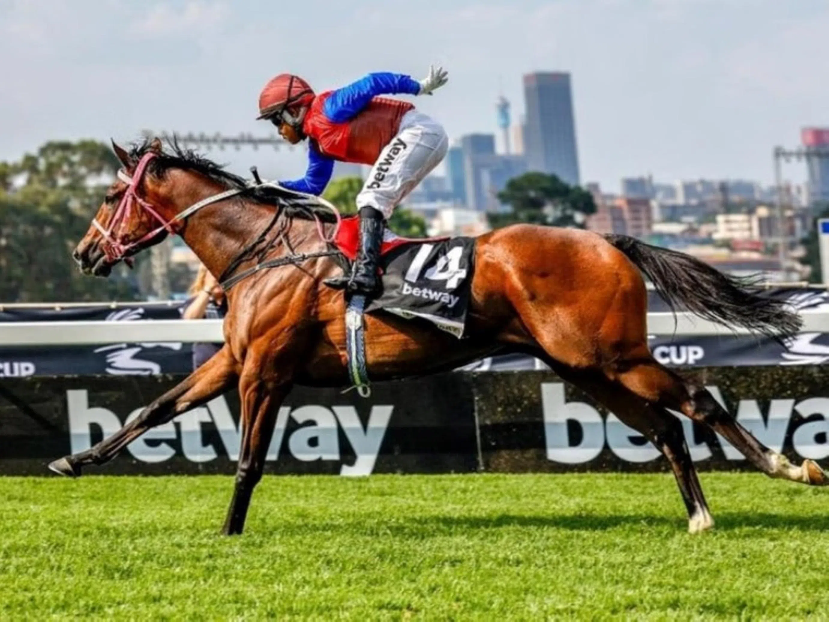 It's Champions galore at Turffontein day 3 finale