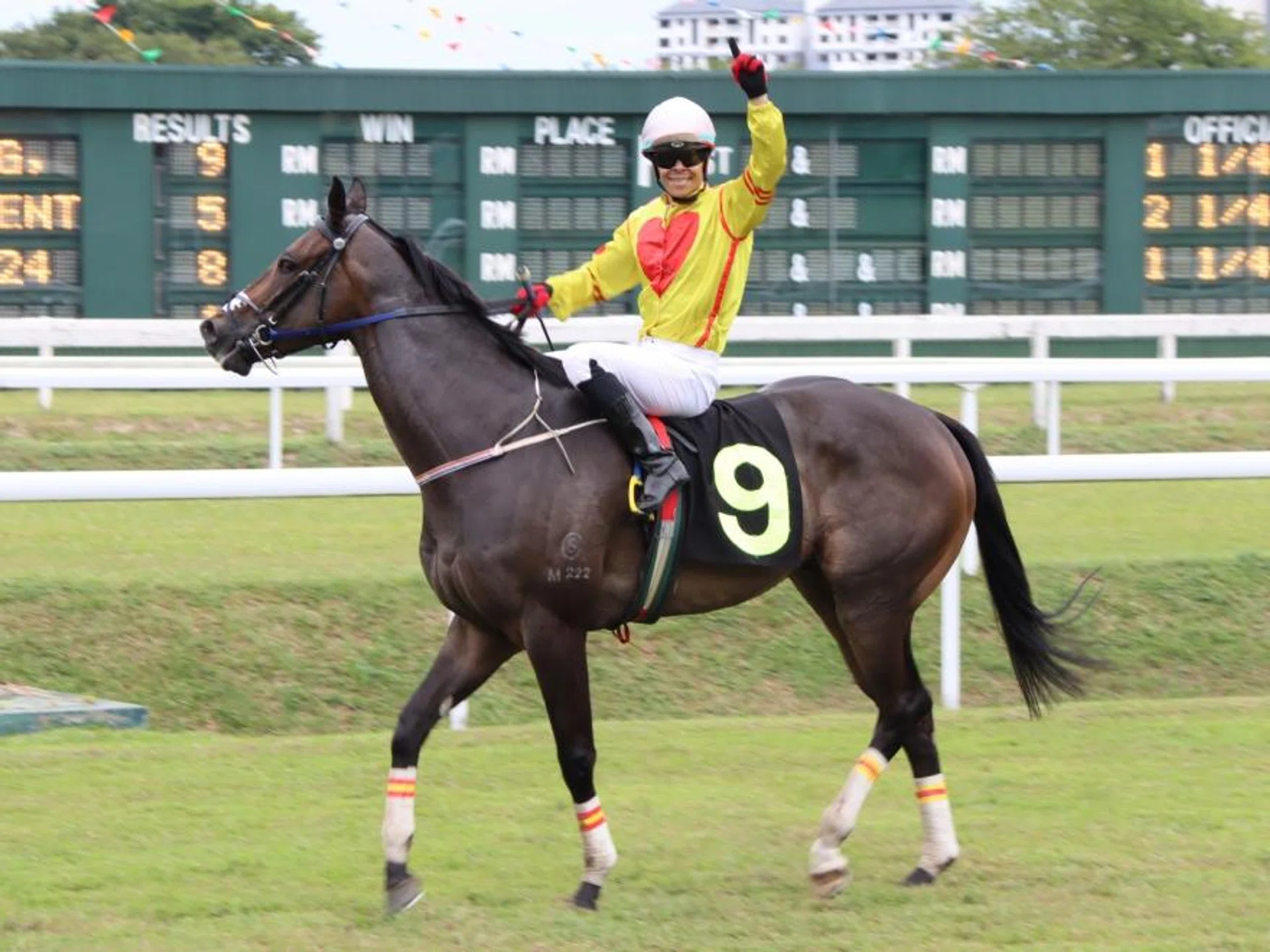 Lucky Magic (Andre da Silva) returning to scale after his slashing win in the Group 1 Yang Di-Pertua Negeri Penang Gold Cup (2,000m) at Batu Gantong on Dec 29. The progressive sort will now be aimed at the 4YO Mile Championship in July.
