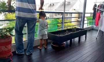 Couple calls TNP about falling risk