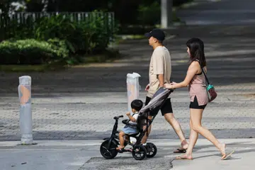 Fewer marriages and births in Singapore in 2024: MSF