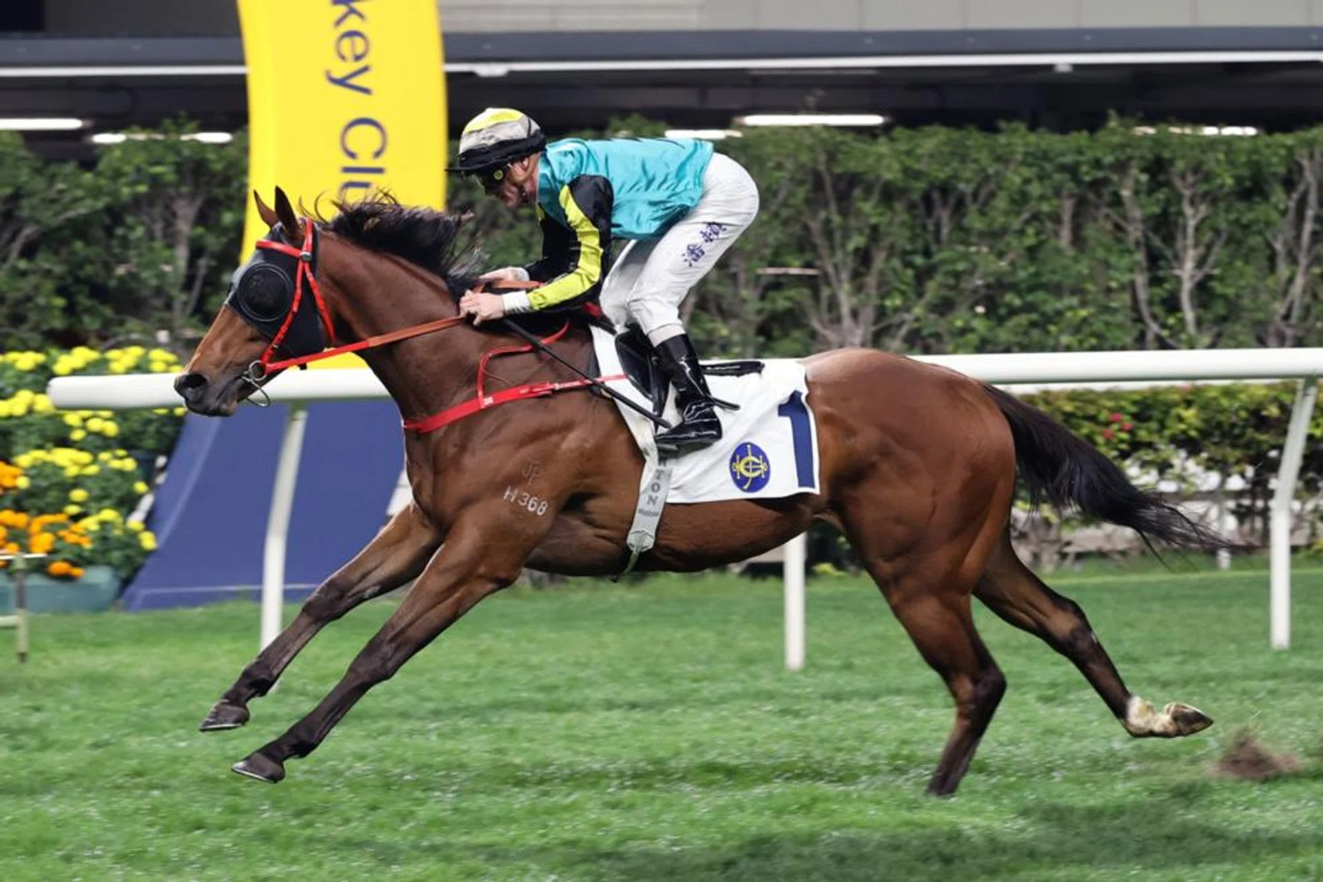 Raging Blizzard (Zac Purton) powering away to victory in a Class 3 race over 1,200m at Happy Valley on March 13.