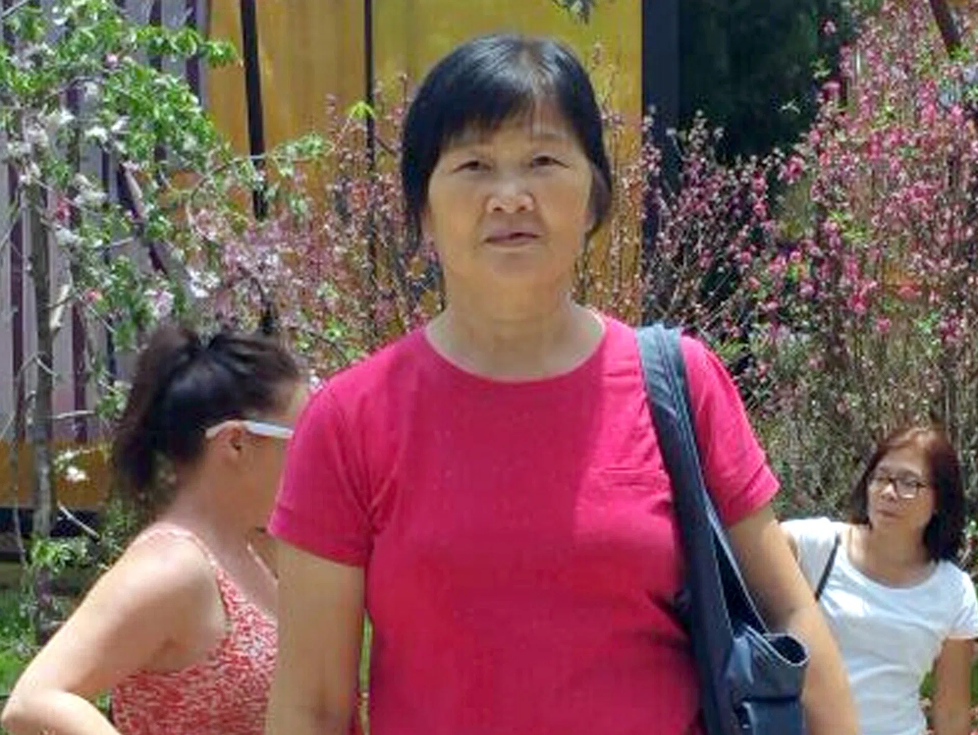 HEARTBROKEN: Madam Ang Liu Kiow's family members have to decide in two days whether to take her off life support.