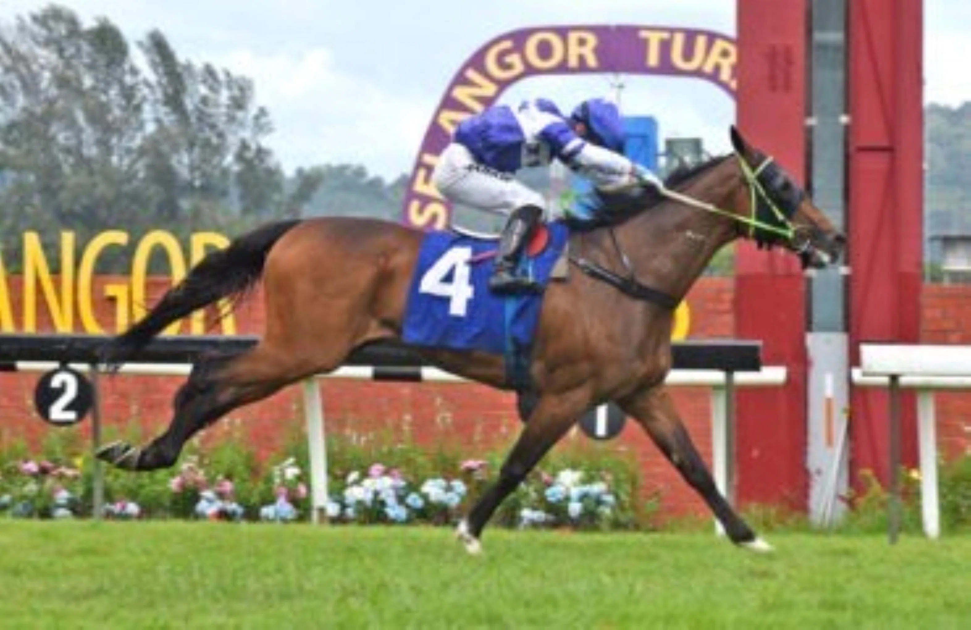 Ironstorm can make waves in third run