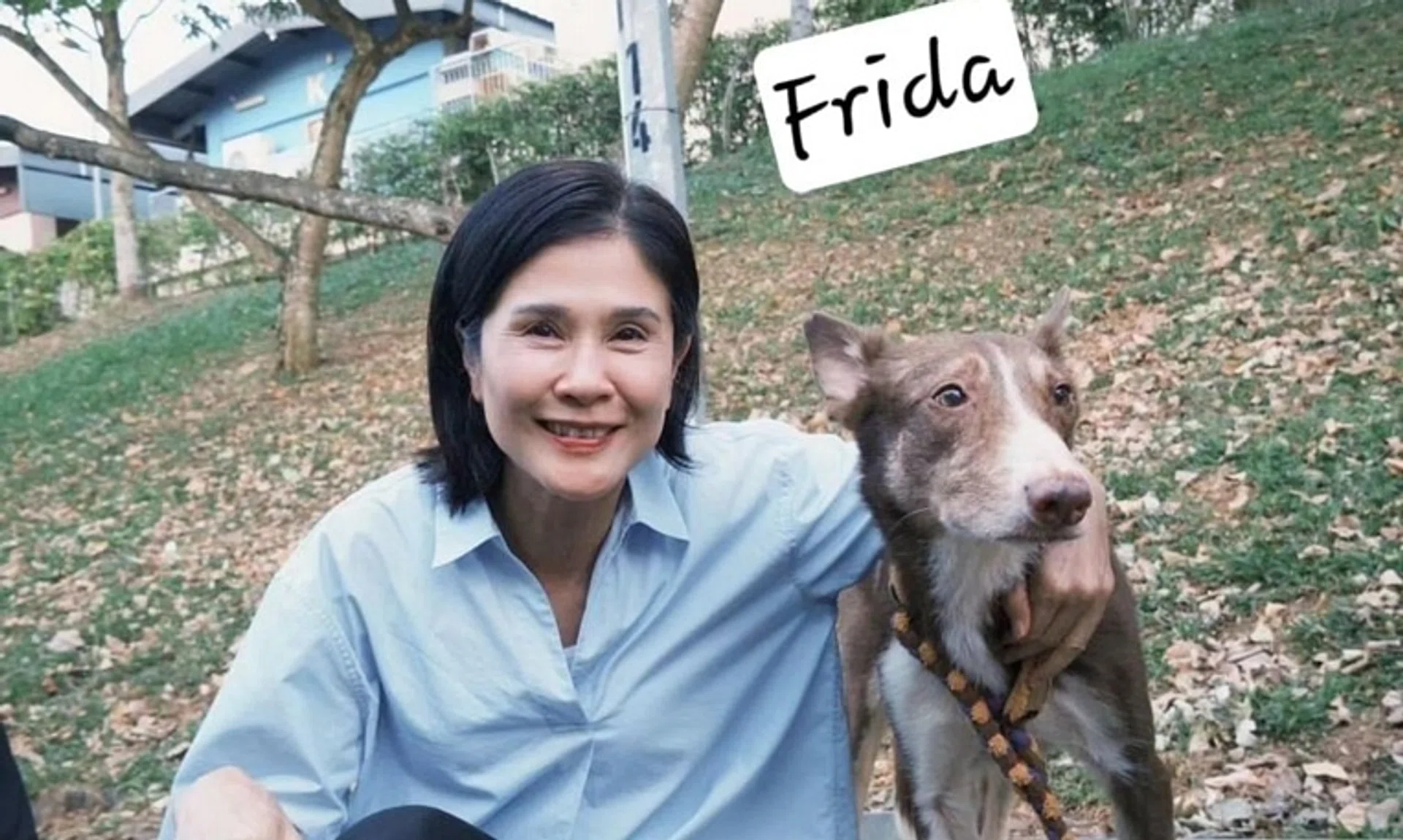 Lin Meijiao with a street dog from SOSD.