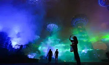 'Northern Lights' coming to Supertree Grove in May