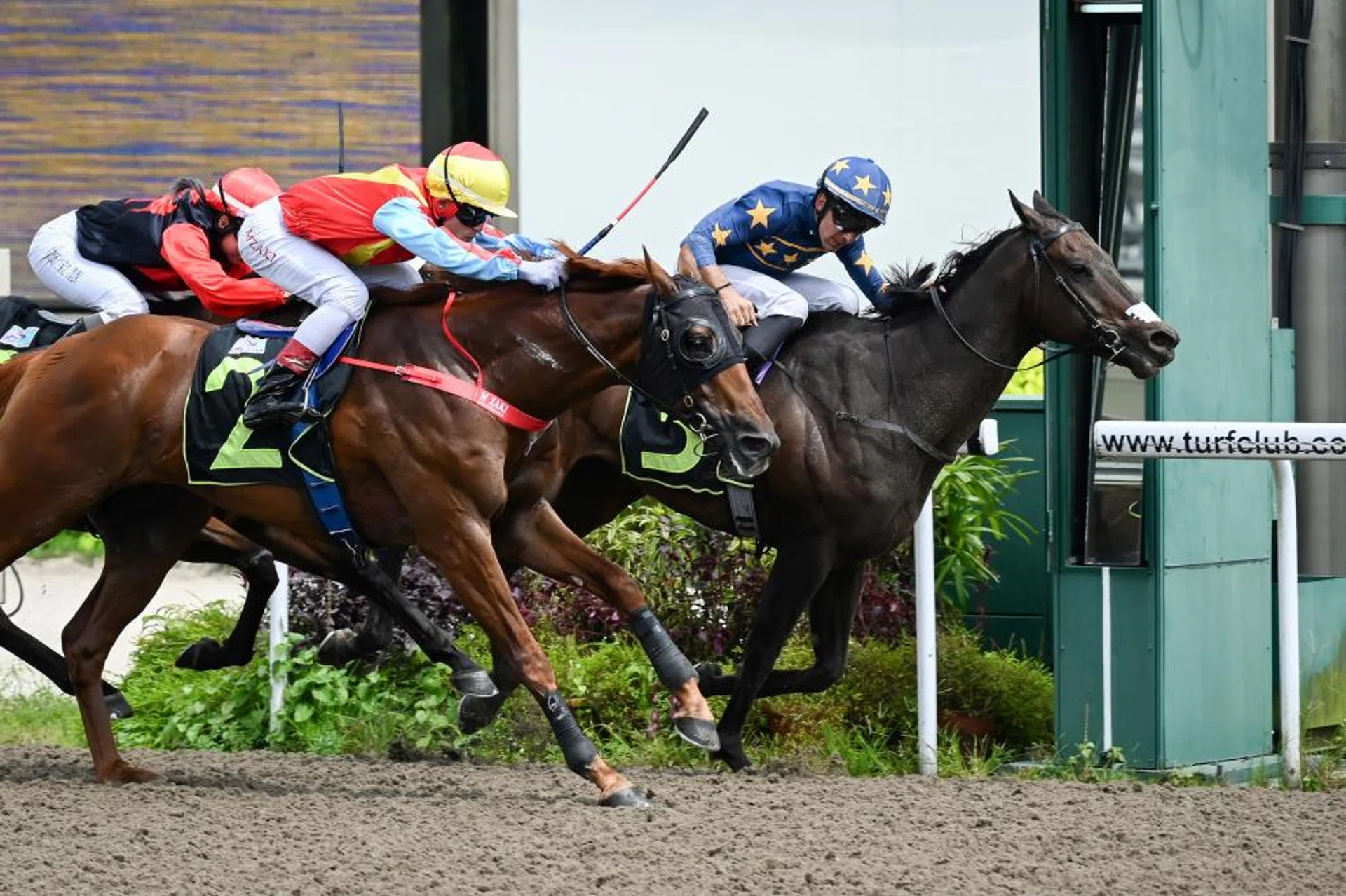 Mesmerizing (No. 2, Mohd Zaki) going down by just a nose to Lim's Bestbreaker (Marc Lerner) at his last start on Feb 3. On his impressive hit-out with Zaki astride on Feb 13, he looks set to go one better in the $50,000 Class 4 race over the Polytrack 1,700m on Feb 17. 